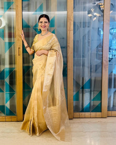Malaika Arora TISSUE Golden Silk Saree