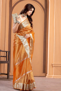 Malaika Arora TISSUE silk Saree - Orange